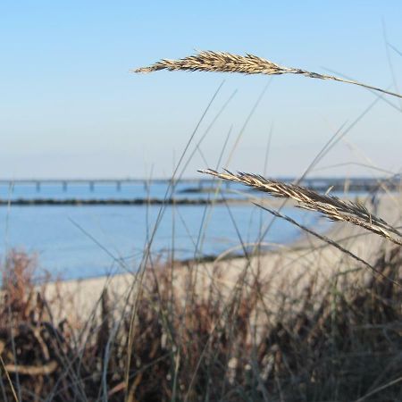 Ferienwohnung Sonnenschein Schonberger Strand Zewnętrze zdjęcie